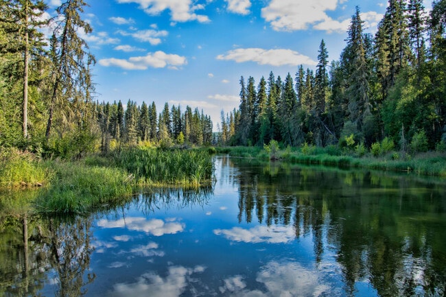 The city of Prince Albert is not far from Prince Albert National Park.