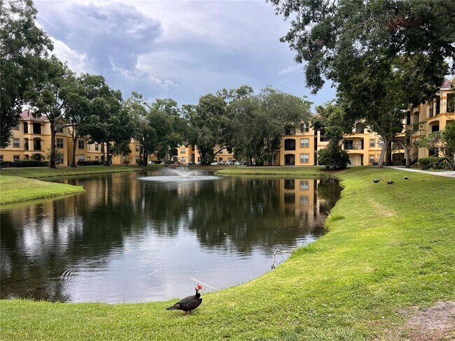 Foto del edificio - 5620 Pinnacle Heights Cir