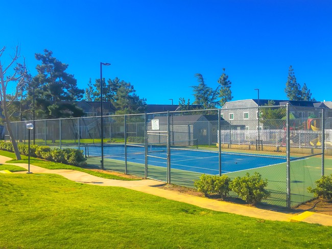 Cancha de tenis - Mountain View Apartments