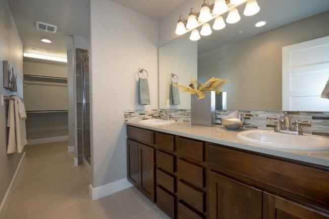 Master Bath - 255 Urban Prairie Street