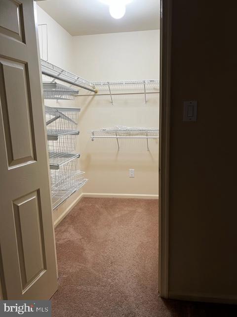 Foto del edificio - 7307 Normandy Dr