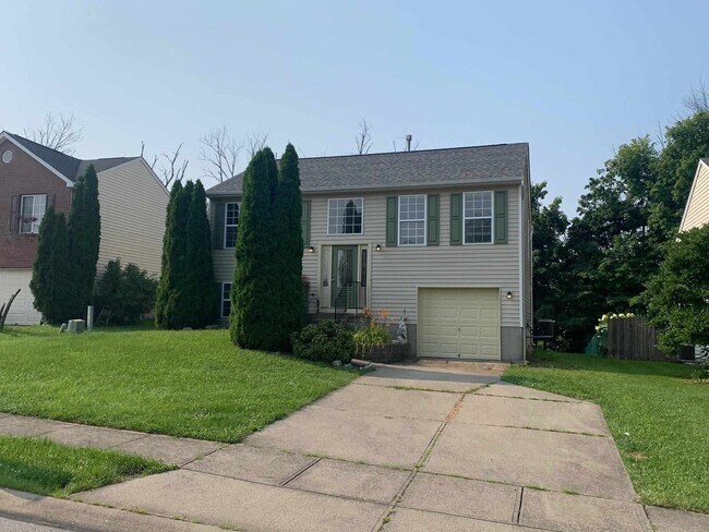 Building Photo - 10374 Remy Ln