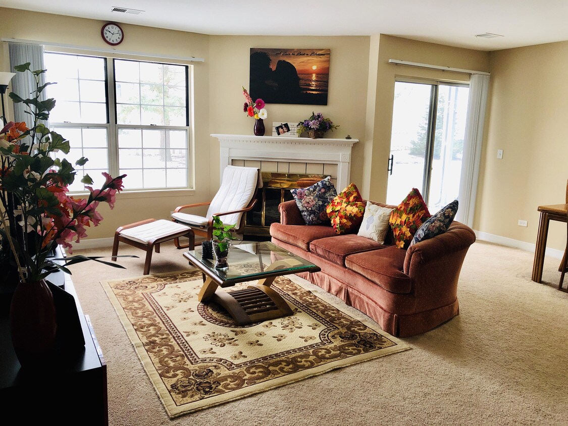 Sala de estar - 30003 Waukegan Rd