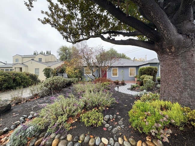 Building Photo - Beautifully Updated 4BD/2BA Single-Family Home in Palo Alto