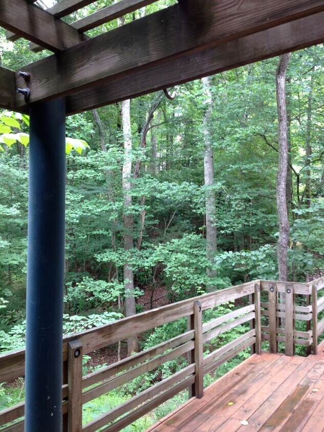 Foto principal - 1 Bed Apartment super close to UNC campus!...