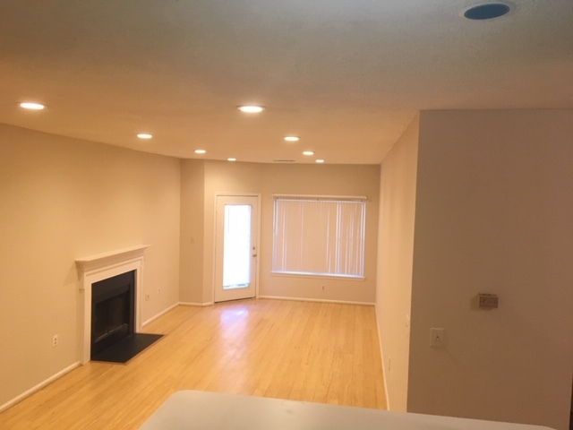 Living room - 14317 Climbing Rose Way