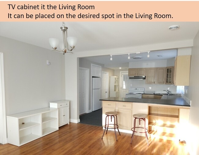 Livnig Room - TV cabinet - 2767 Lloyd George Blvd