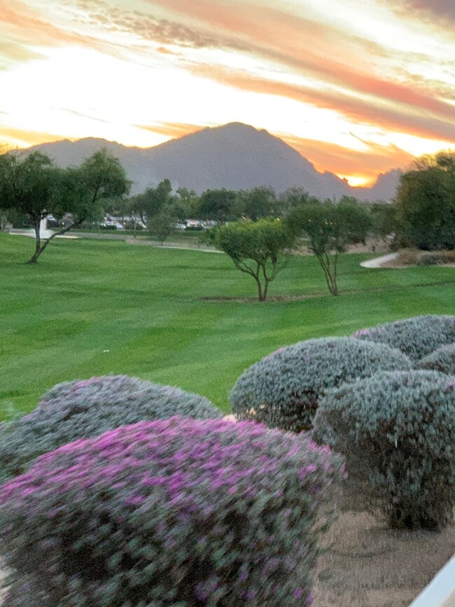 3600 N Hayden Rd Unit 2703, Scottsdale, AZ 85251 Condo for Rent in Scottsdale, AZ