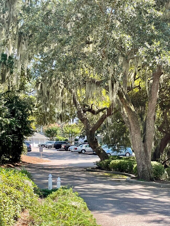 1231 Ladys Island Dr Unit 229, Port Royal, SC 29935 Condo for Rent in Port Royal, SC