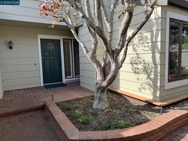 Building Photo - 1168 Alta Mesa