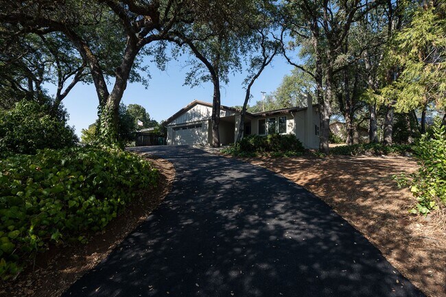 Foto del edificio - Beautiful Cameron Park New Build!