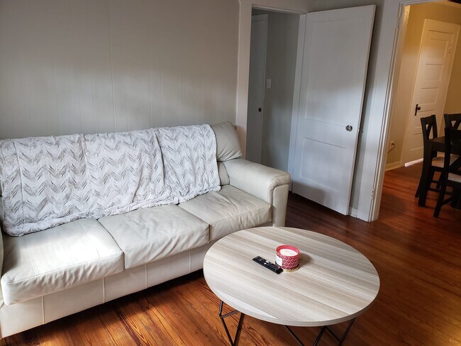Living room - 1004 W Swann Ave