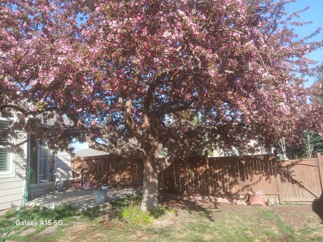 Building Photo - 501 Yuma Ct