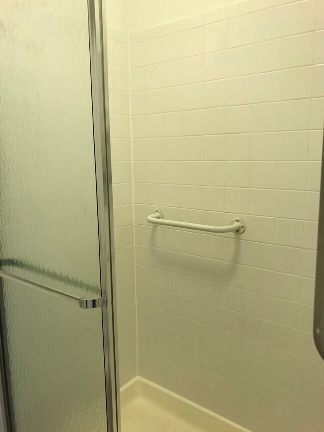 Master bath - 205 Cave Run Dr