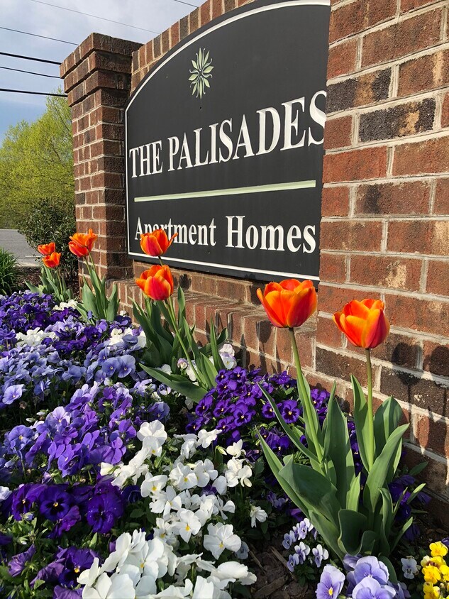 Palisades of Asheville Apartments Asheville, NC