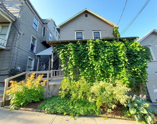 Building Photo - 207 Williams St