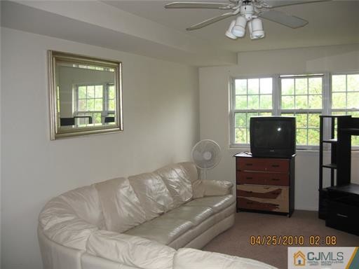 Primary Photo - 159 College Dr