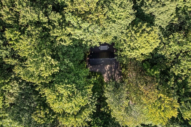 Building Photo - Stylish Tiny Cabin in Peaceful Wooded Area