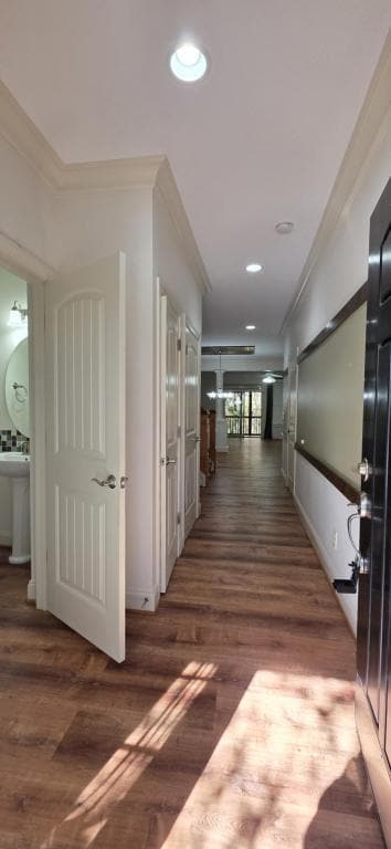 Foto del edificio - 1006 Indigo Ridge Pl