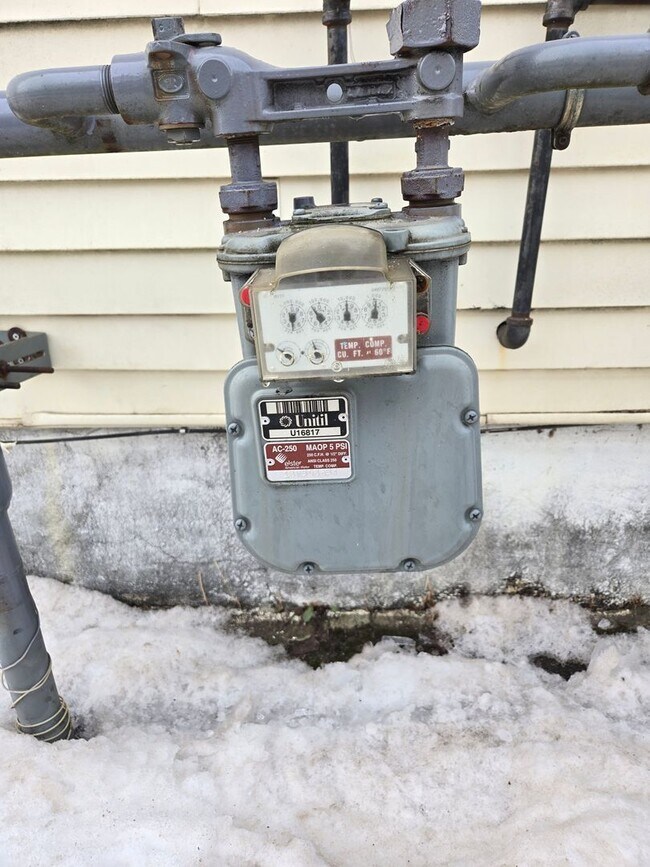 Foto del edificio - 10 Freeman Ct