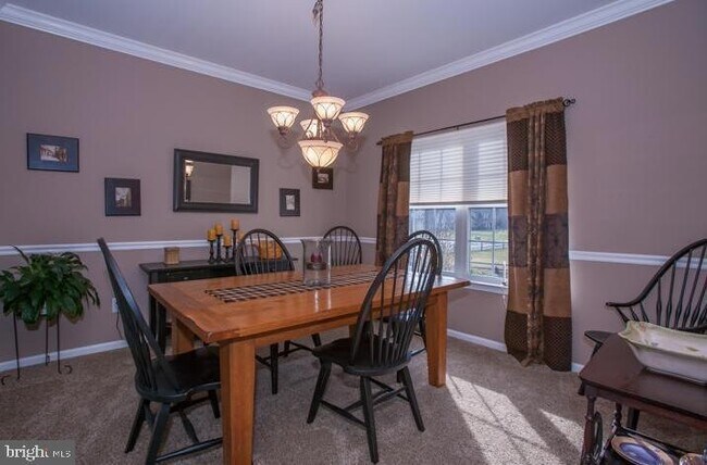 Foto del edificio - 51 Nocentino Dr