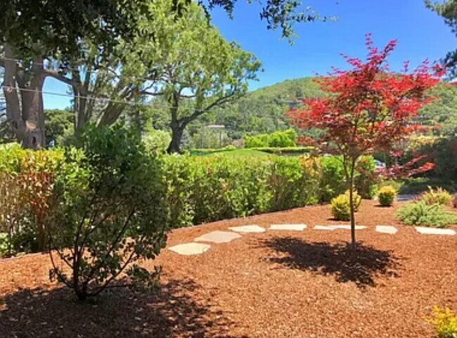 front yard - 100 Country Club Dr