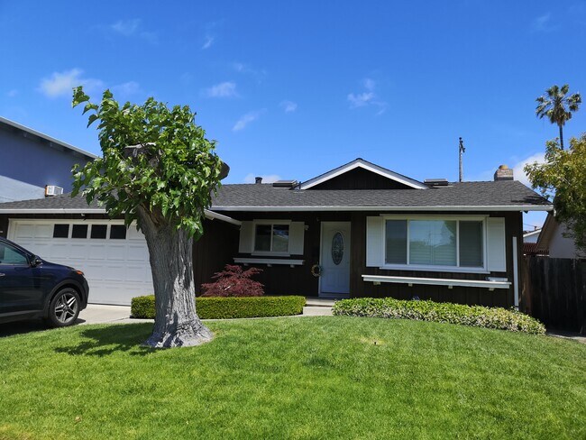 curb look - 2831 Mark Avenue
