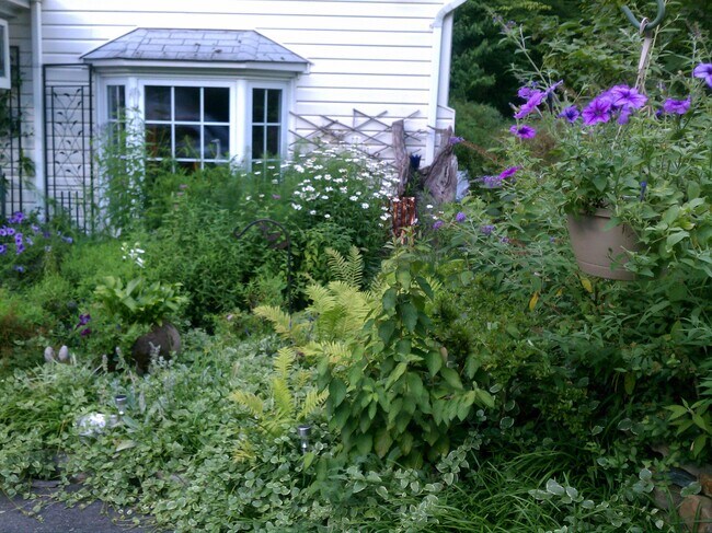 Building Photo - 7812 Libeau Ln