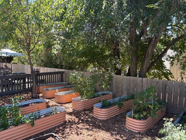 Garden Beds - 5440 Capistrano Ave
