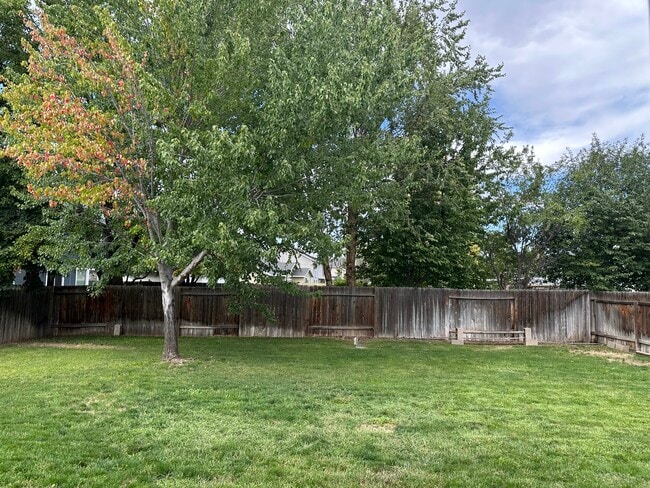 Backyard - 398 East Cassidy Drive