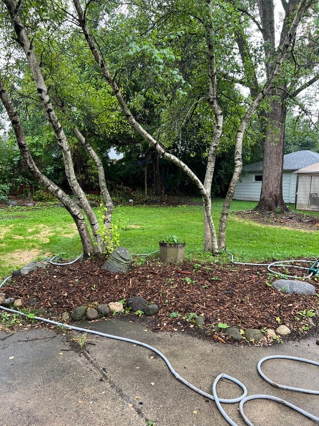 back yard - 4625 W Parkland Ave
