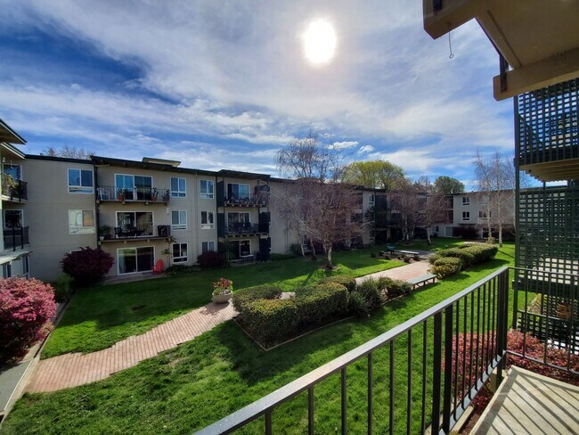 Foto del edificio - Southern Facing  1bd/ 1 bth apartment!