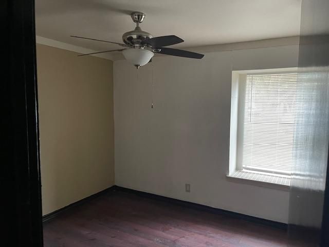 Building Photo - 914 Blue Bonnet Dr