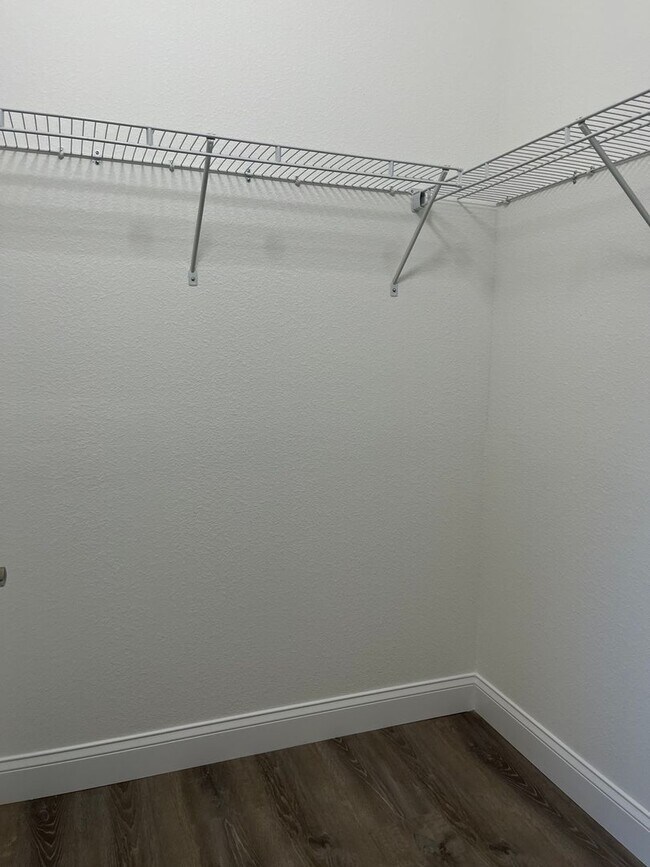 Building Photo - Brand New 3bdr/2ba in the heart of Palm Co...