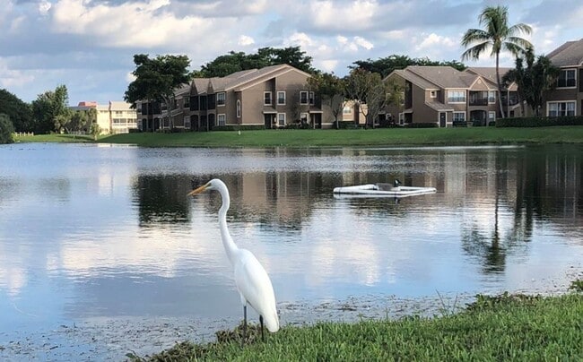 Interior Photo - Coral Falls
