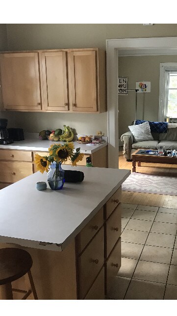 kitchen - 3073 N Humboldt Blvd