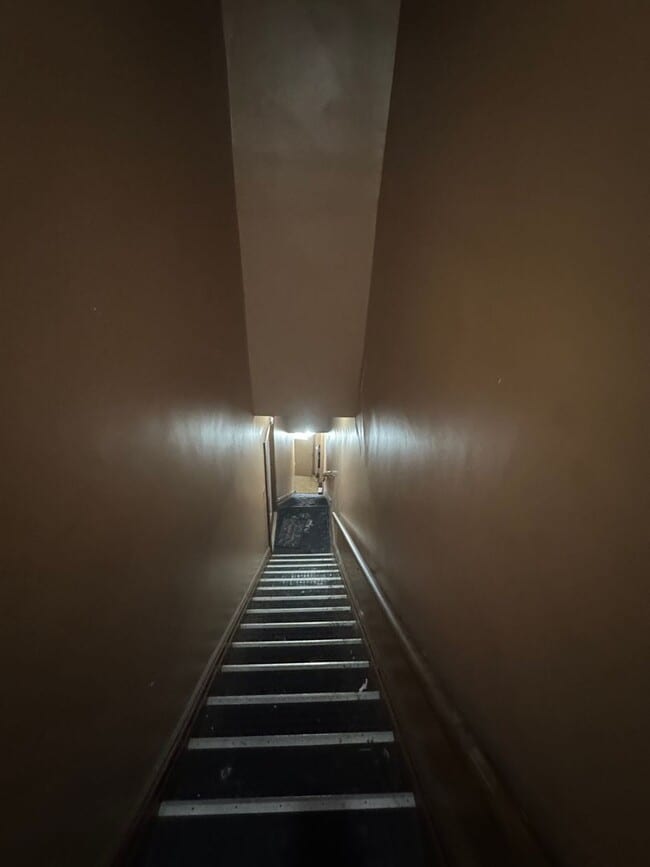 Photo - 810 Amity St Apartment