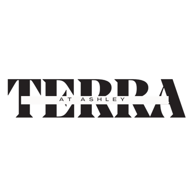 Building Photo - Terra at Ashley