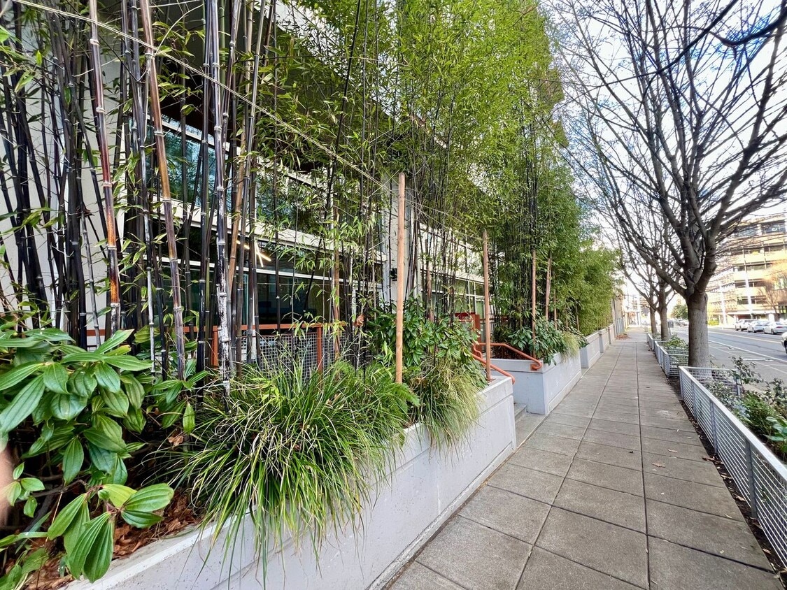 Veer Lofts Condominiums - South Lake Union - Veer Lofts Condominiums - South Lake Union