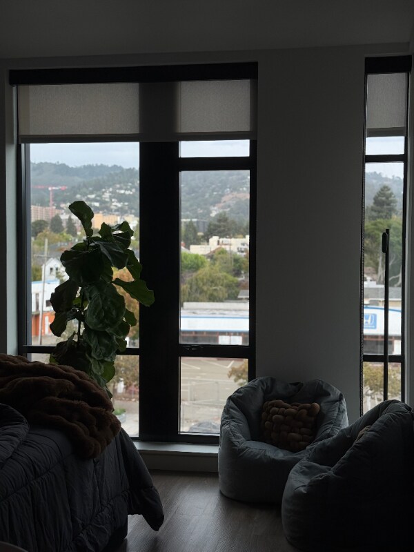 Foto del edificio - 2640 Shattuck Ave.