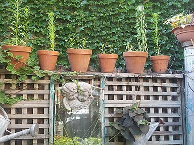 Building Photo - 2448 N Ashland Ave