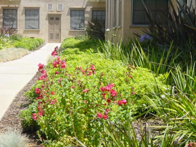 Primary Photo - 1318 Havenhurst Dr