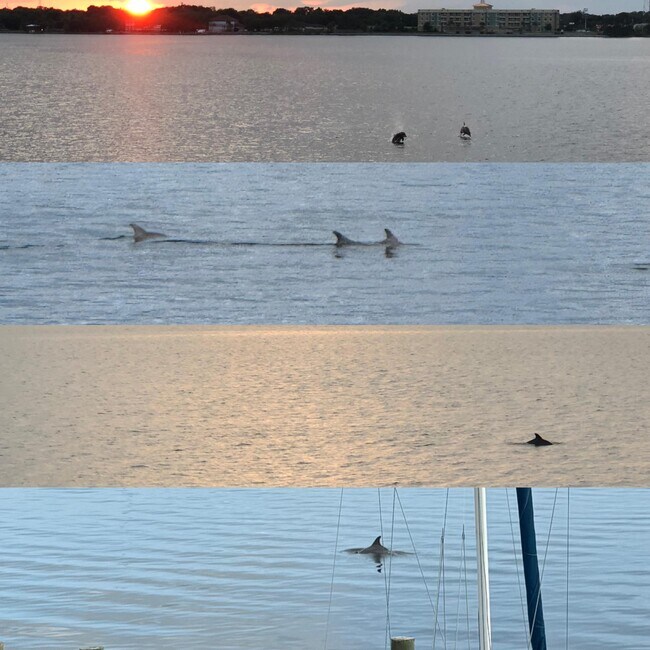 Foto del edificio - 202 Snug Harbour Dr