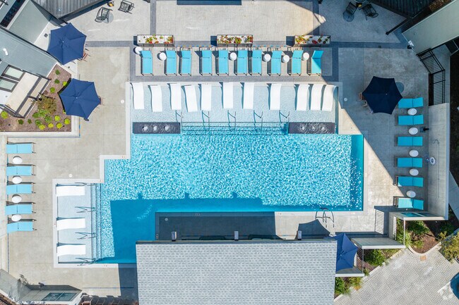 Piscina estilo centro turístico - Sterling Nashville West