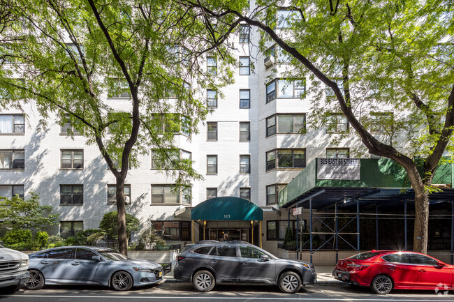 Foto del edificio - 315 East 65th St