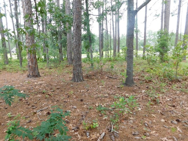 Foto del edificio - 914 Muirfield Pl