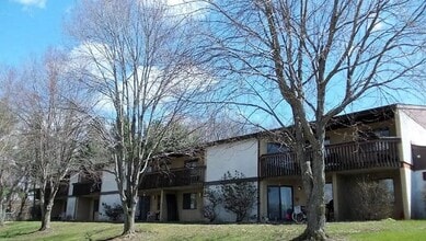 Building Photo - 132 Mullet Dr