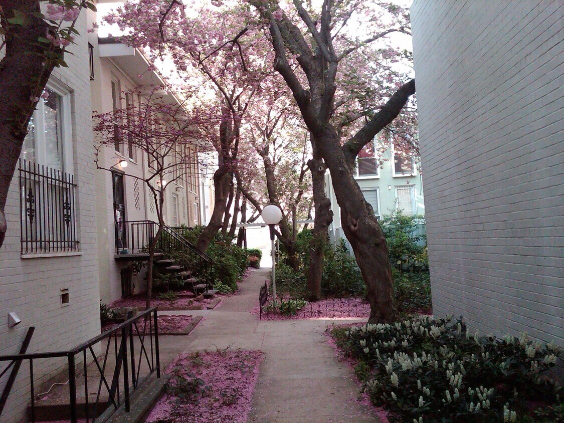 Foto principal - 229 G St SW