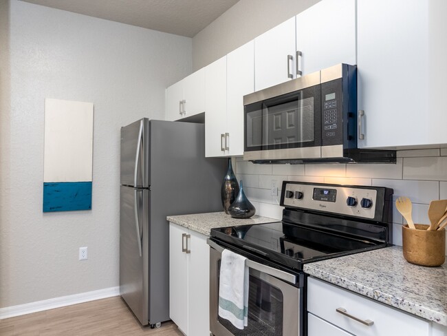 Stainless Steel Appliances - Lucerne at Lake Brandon Apartments