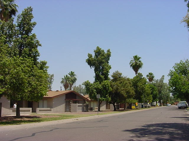 Building Photo - Town Lake Apartments